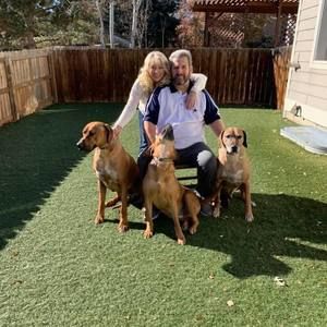 Meet your Posher, Steven